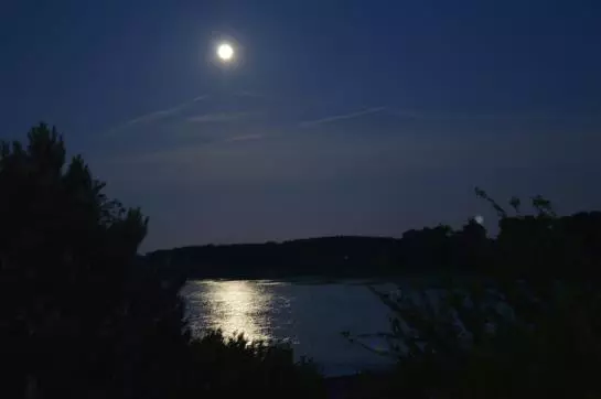 酒店 Haus Rheinblick