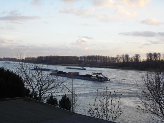 호텔 Haus Rheinblick