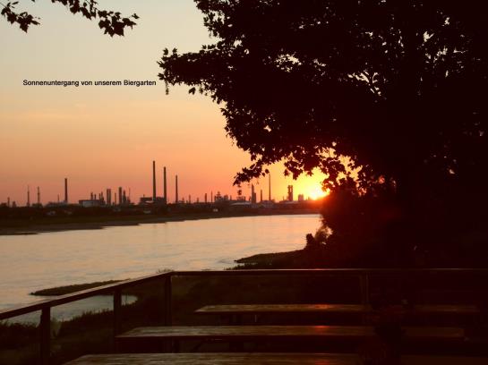 호텔 Haus Rheinblick