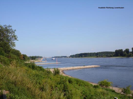 호텔 Haus Rheinblick