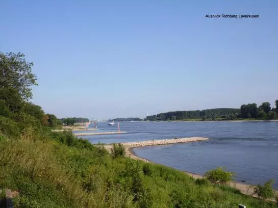 酒店 Haus Rheinblick