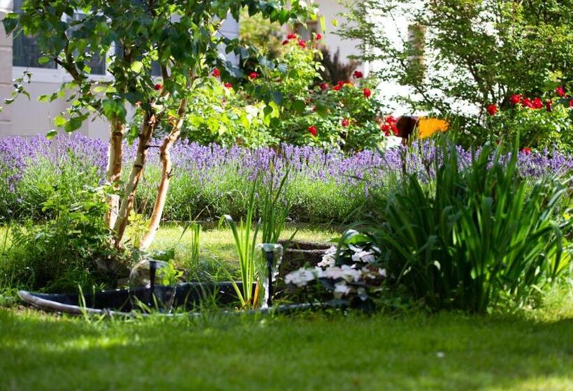 فندق Lindenhof Bad Schandau