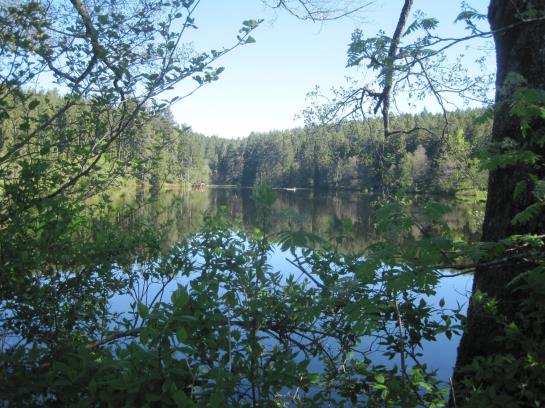 Bed and Breakfast Pension Charisma