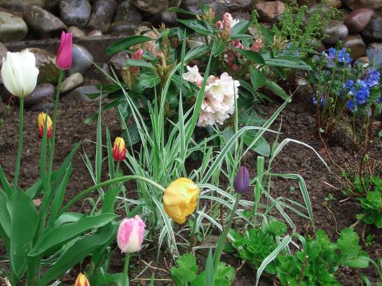 Bed and Breakfast Pension Charisma