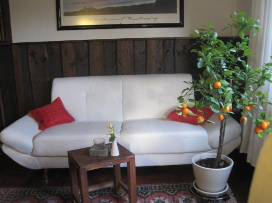 Bed and Breakfast Pension Charisma