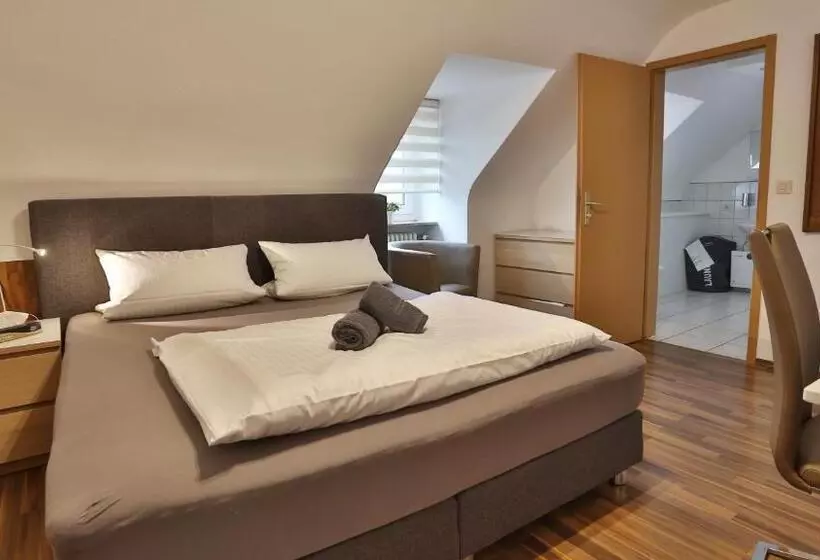 酒店 Prinz Carl   Apartments Mit Klimaanlage