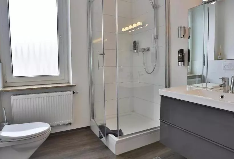 酒店 Prinz Carl   Apartments Mit Klimaanlage