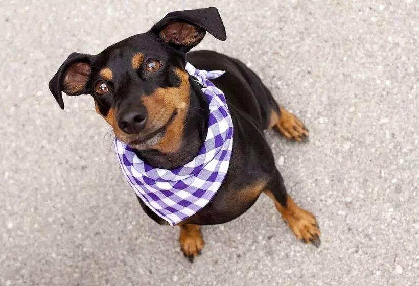 ホテル Schäfflerwirt