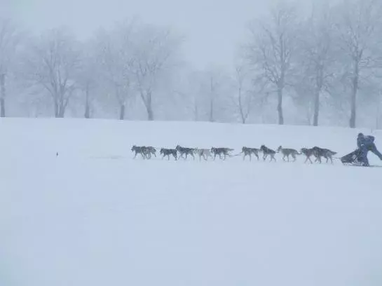 בית מלון כפרי Wolfs