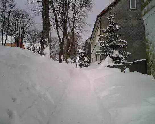 בית מלון כפרי Wolfs