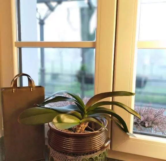 בית מלון כפרי Xtra Gleis