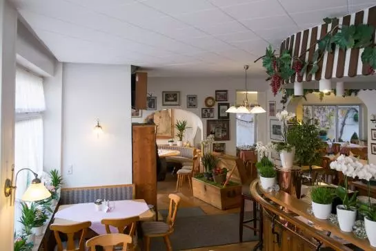 酒店 Zum Rebengarten