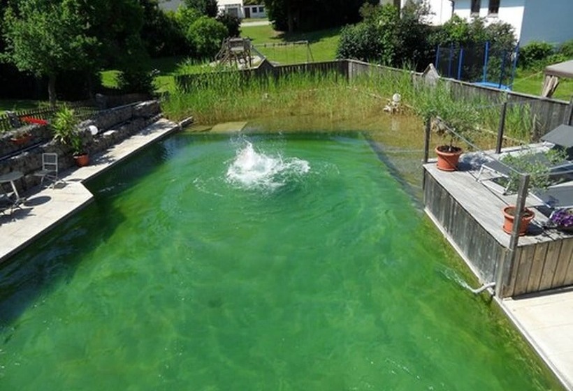 Пансион Gasthof Zum Hirschen