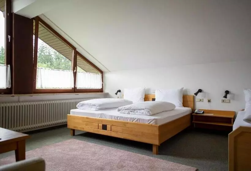 펜션 Waldgasthof Geländer