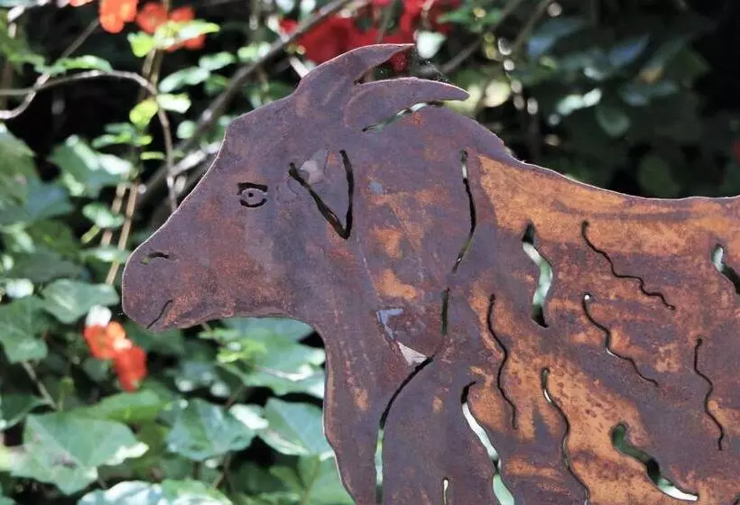 צימר Pension Fortuna