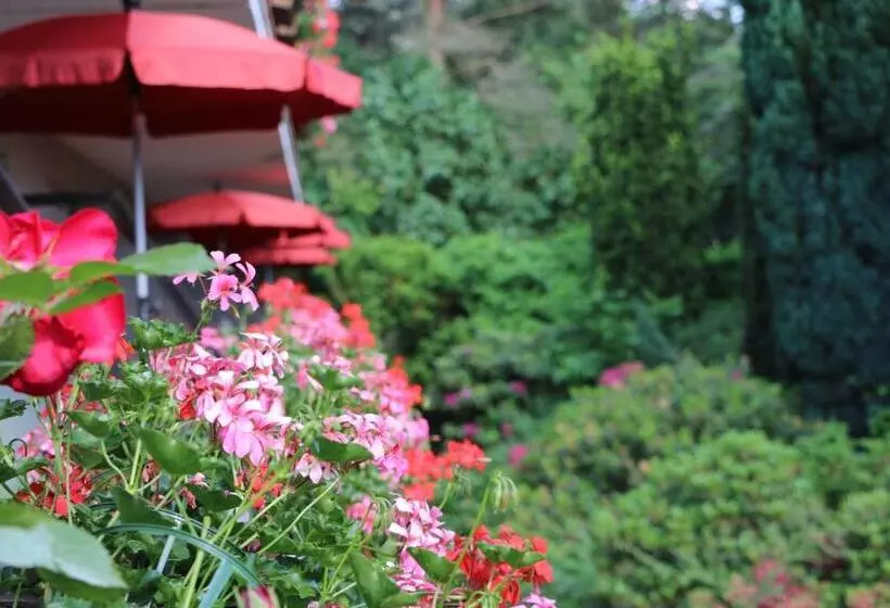 צימר Pension Fortuna