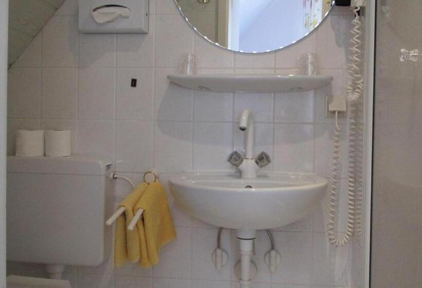 Отель Alleeschlößchen