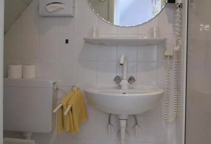 ホテル Alleeschlößchen