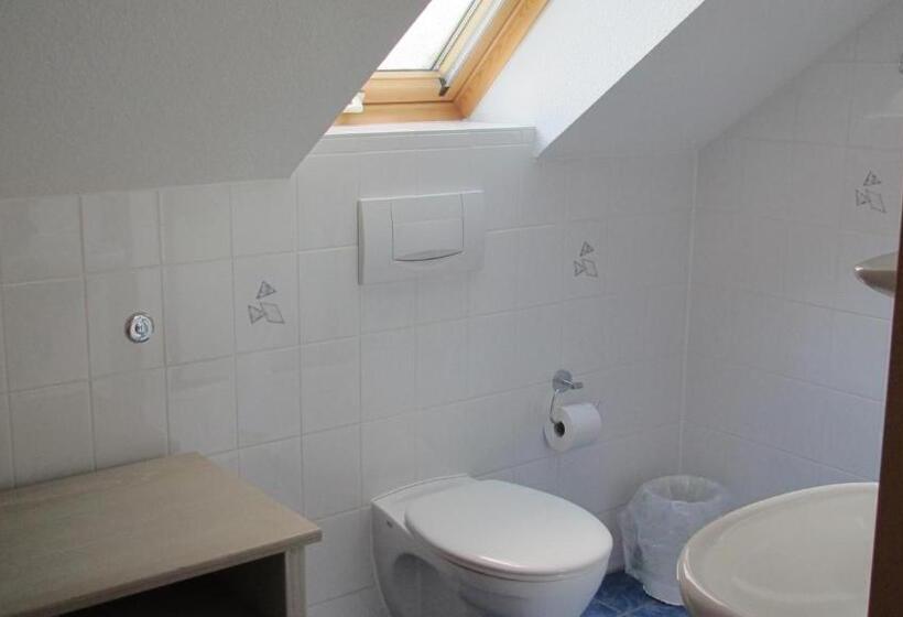 Отель Alleeschlößchen