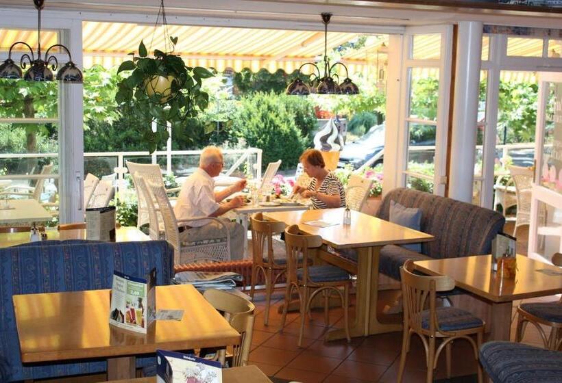 Отель Alleeschlößchen