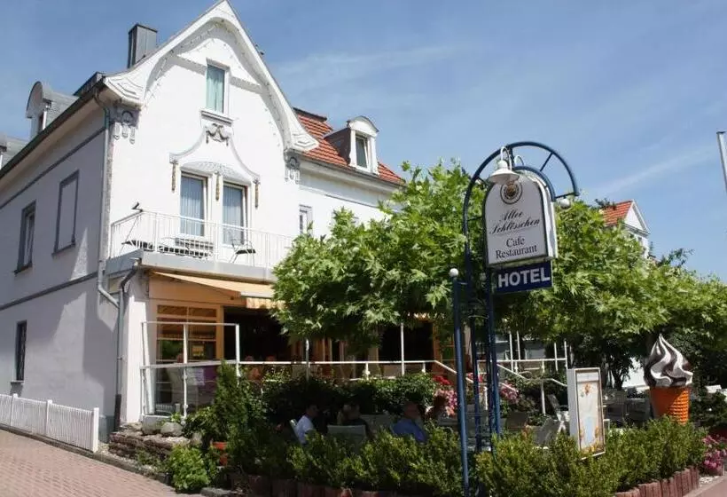 ホテル Alleeschlößchen