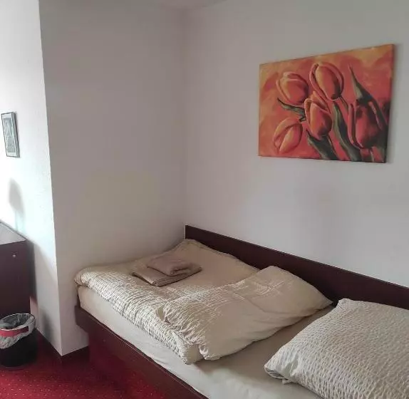 호텔 Aura Am Schloss