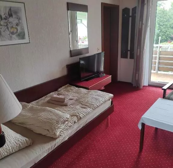 호텔 Aura Am Schloss