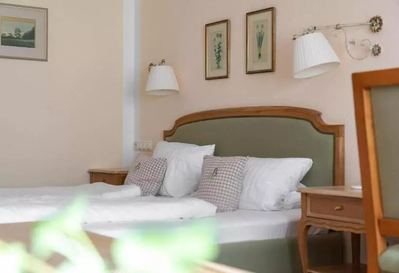 Otel Bachmair Alpina