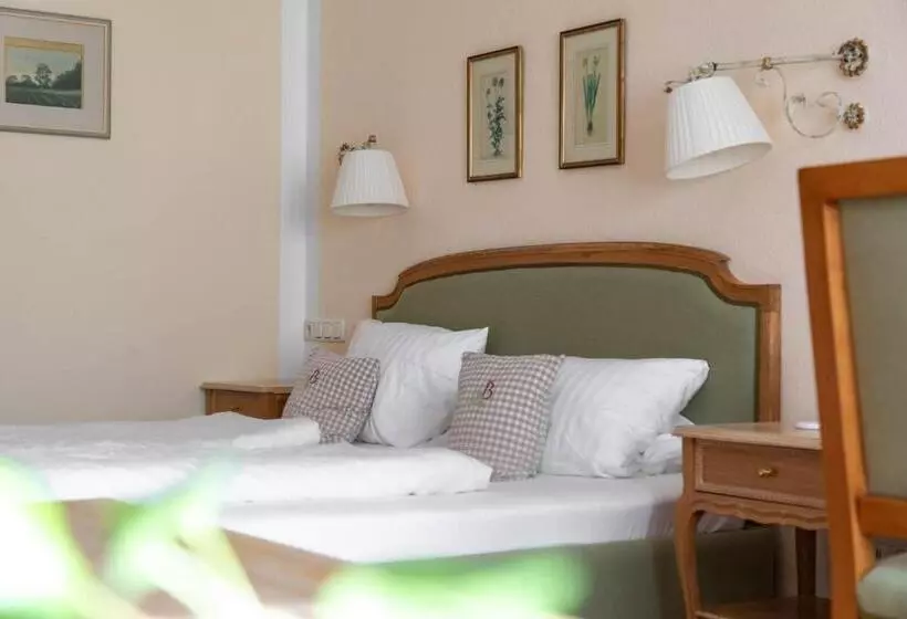 Otel Bachmair Alpina