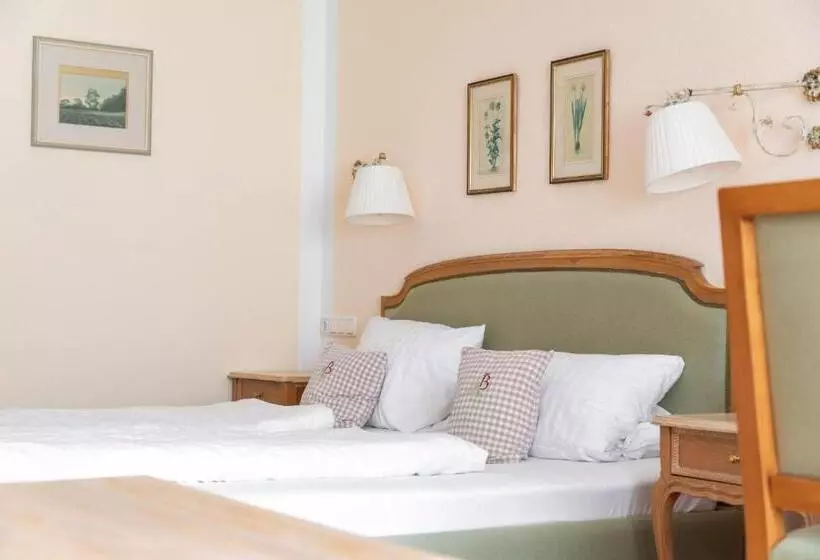 Otel Bachmair Alpina