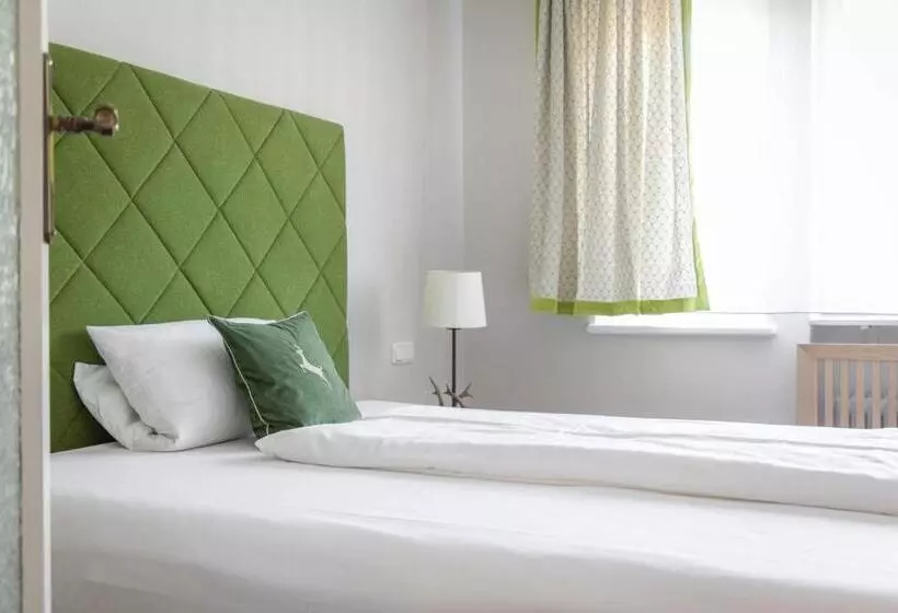 Otel Bachmair Alpina