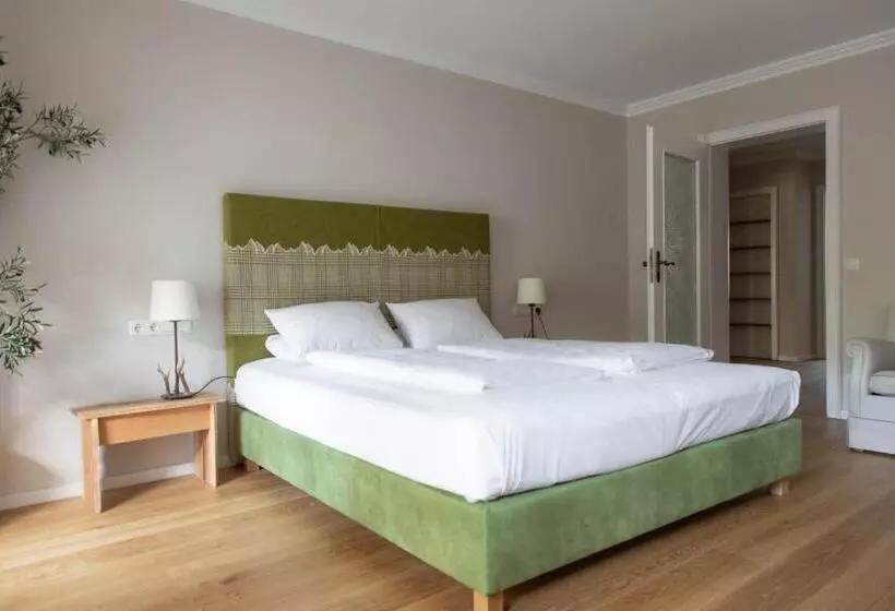 Otel Bachmair Alpina