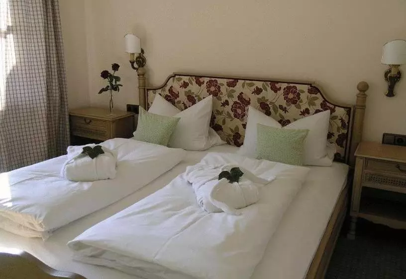 Otel Bachmair Alpina