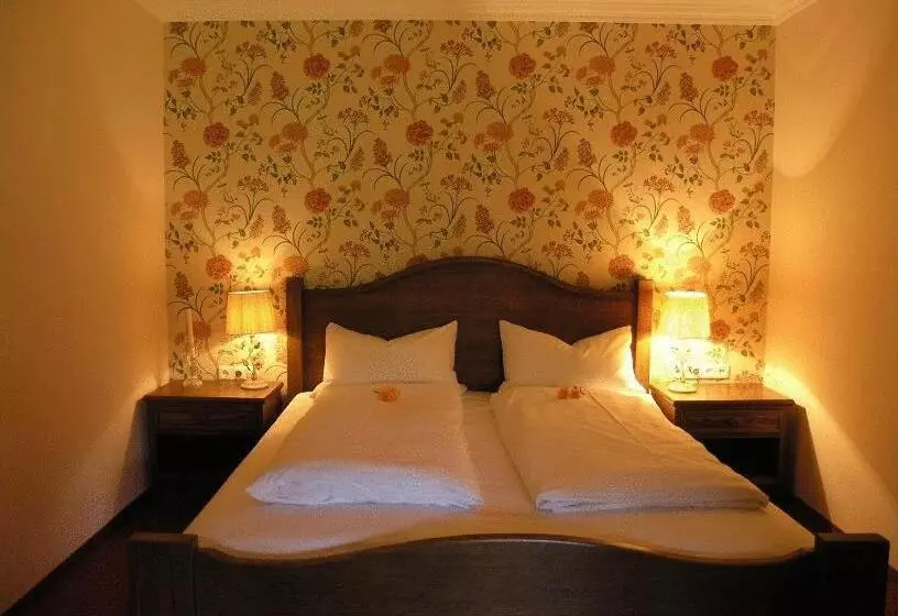 Otel Bachmair Alpina