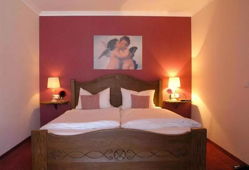 Otel Bachmair Alpina