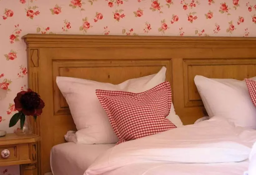 Otel Bachmair Alpina