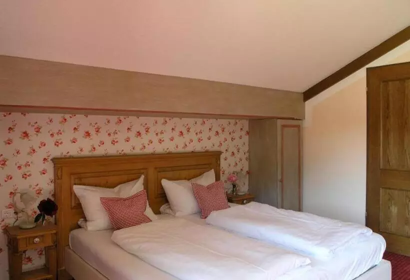 Otel Bachmair Alpina