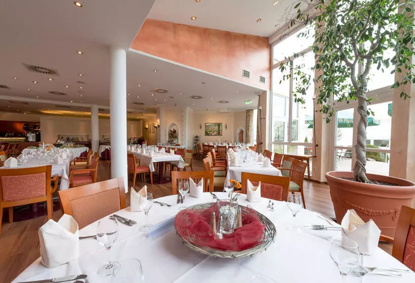 Отель Vinothek   Boardinghouse