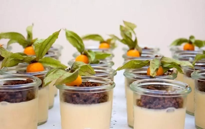 酒店 Haus Schlesien