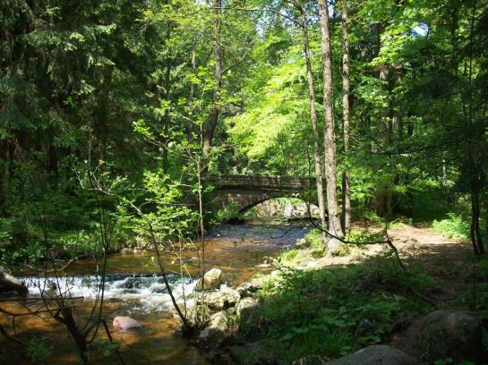 Отель Hütteberg