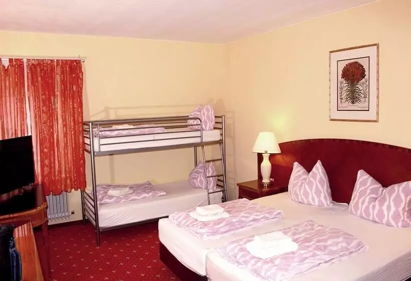 ホテル Neustädter Hof