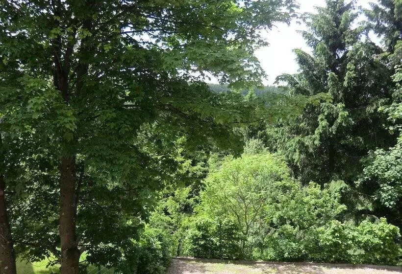 Otel Pension & Ferienwohnung Oberhof 810 M