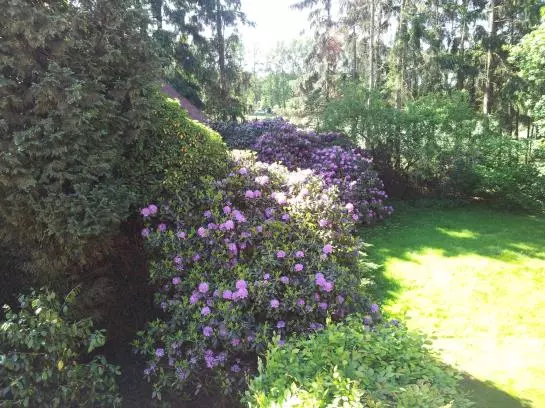 Renken Am See Landhaus