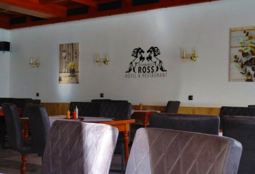 Schwarzes Ross Hotel & Restaurant Oberwiesenthal