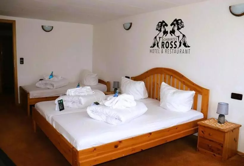 Schwarzes Ross Hotel & Restaurant Oberwiesenthal