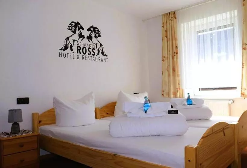 Schwarzes Ross Hotel & Restaurant Oberwiesenthal