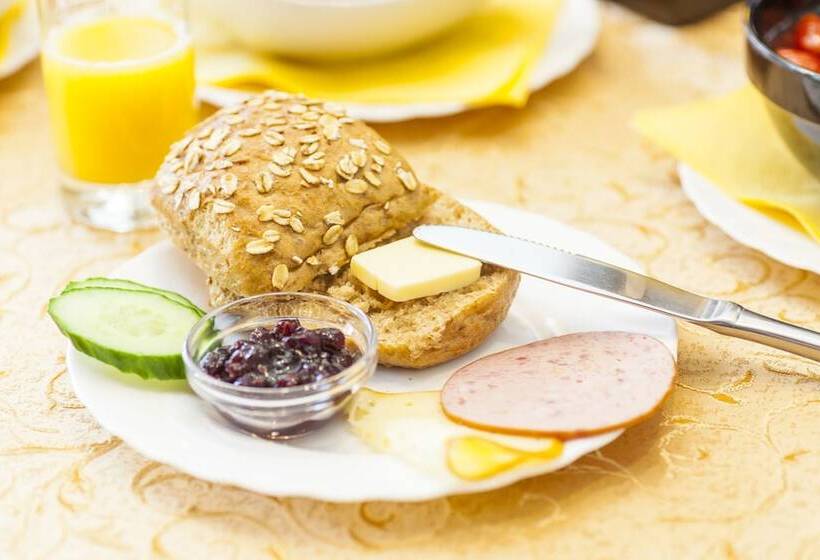 Schwarzes Ross Hotel & Restaurant Oberwiesenthal