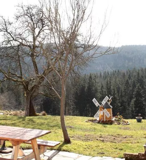 ホテル Schwarzwald Gasthof Hirsch