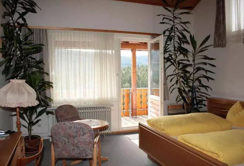 ホテル Schwarzwald Gasthof Hirsch