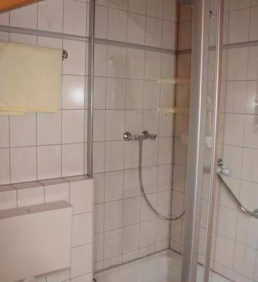 ホテル Schwarzwald Gasthof Hirsch